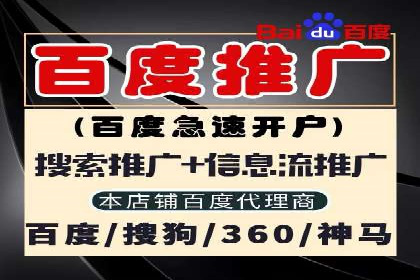 成功案例解析：SEM竞价托管运营策略